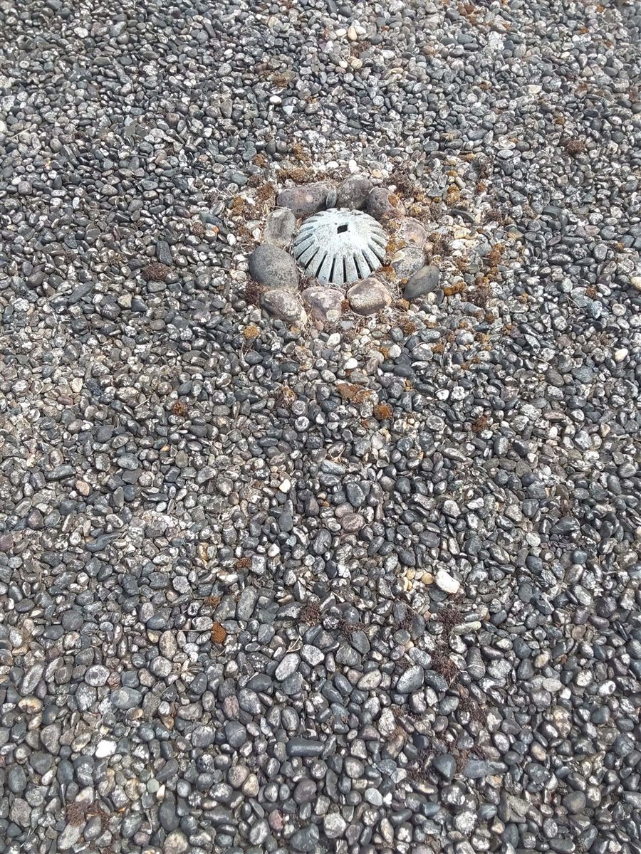 Entwässerungspunkt auf einem Flachdach